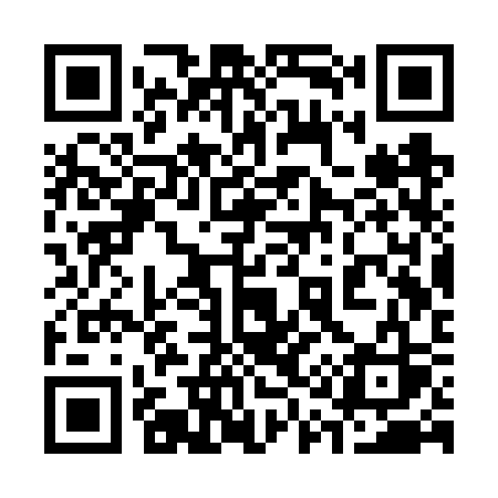 QR code for 313VSS