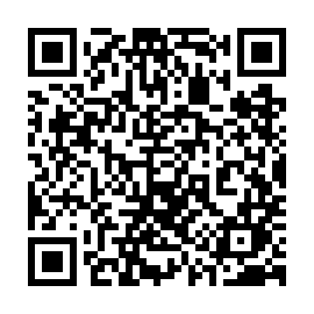 QR code for 313WML