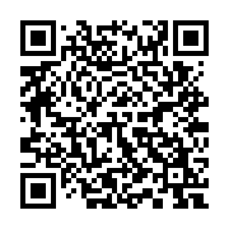 QR code for 313WWO