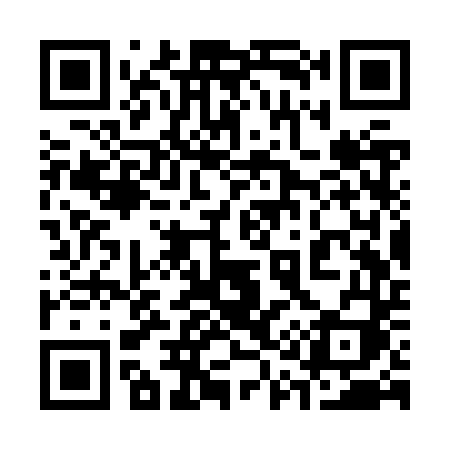 QR code for 313ZTI