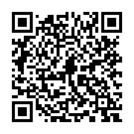 QR code for 315HSI