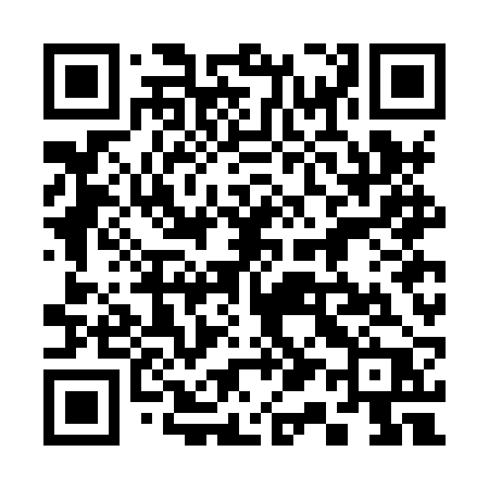 QR code for 317HRP