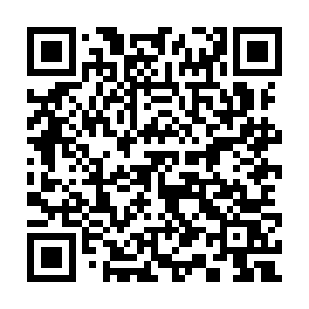 QR code for 318INS