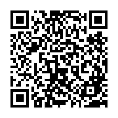 QR code for 319DLD