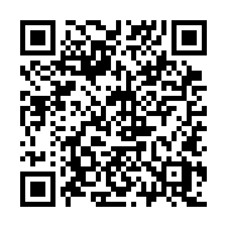 QR code for 319SLX