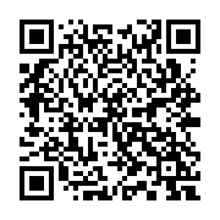 QR code for 319STM