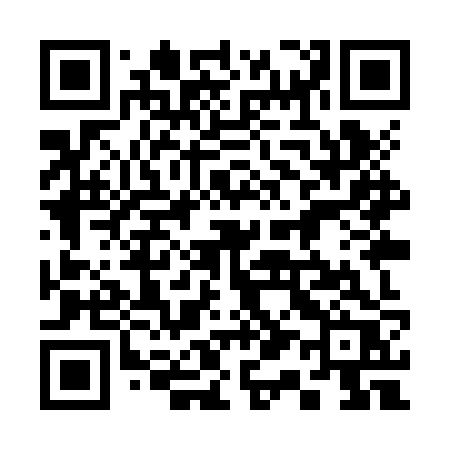 QR code for 319ZZR