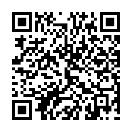 QR code for 325BUG