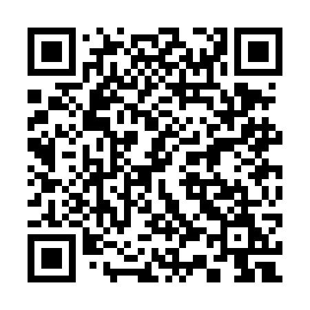 QR code for 333DGM