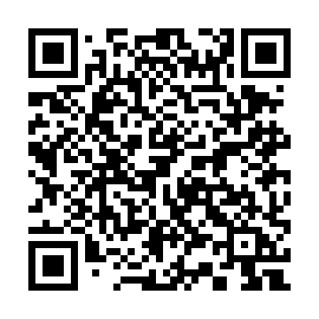 QR code for 333DHA