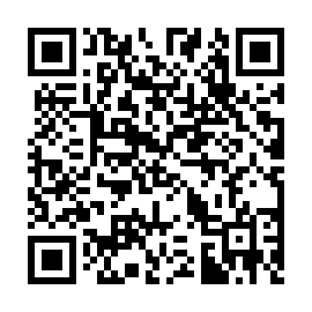 QR code for 333EUO