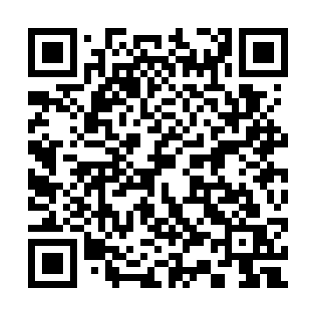 QR code for 333GSS