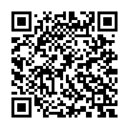 QR code for 333PDN