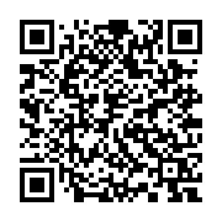 QR code for 333POS