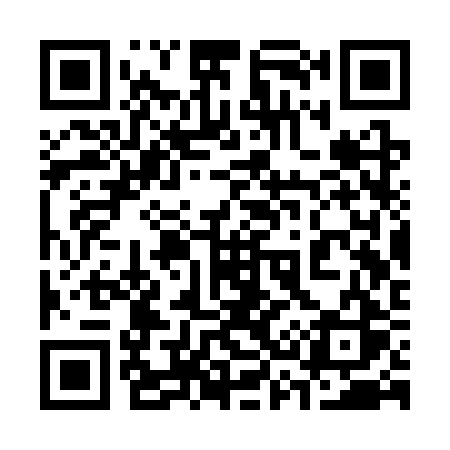 QR code for 333SRS