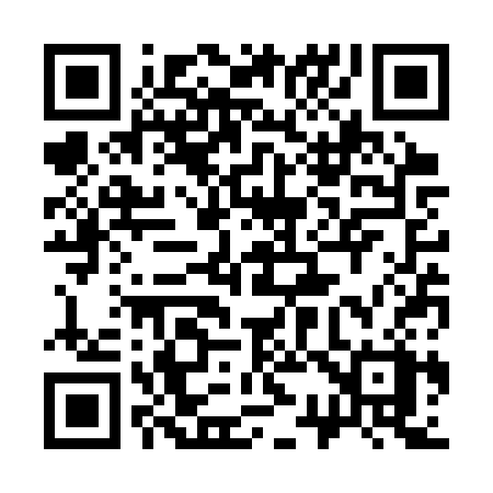 QR code for 333SSX
