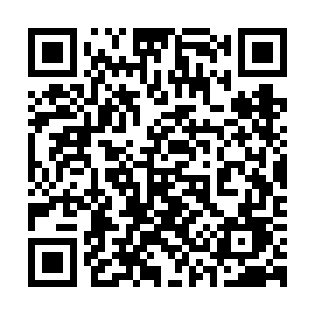 QR code for 333VGD