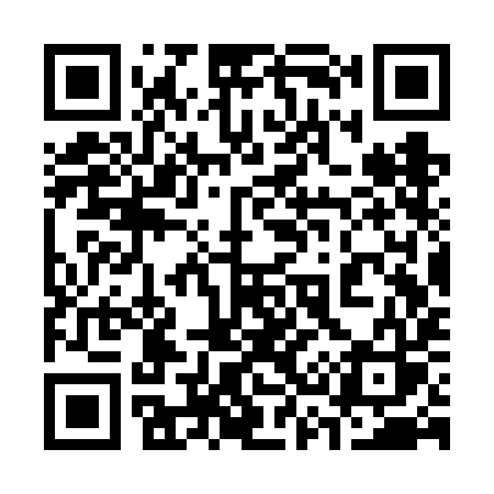 QR code for 333VIS