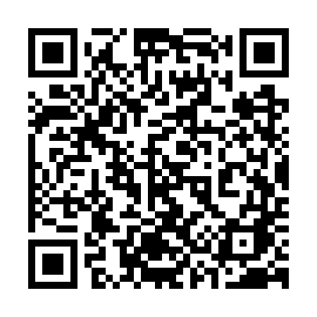 QR code for 333WTA