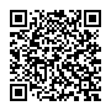 QR code for 333ZNN