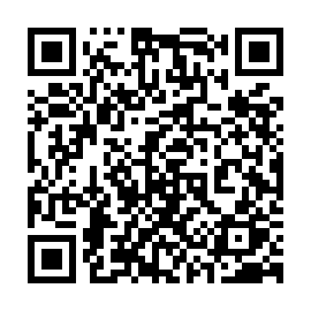 QR code for 334MBP