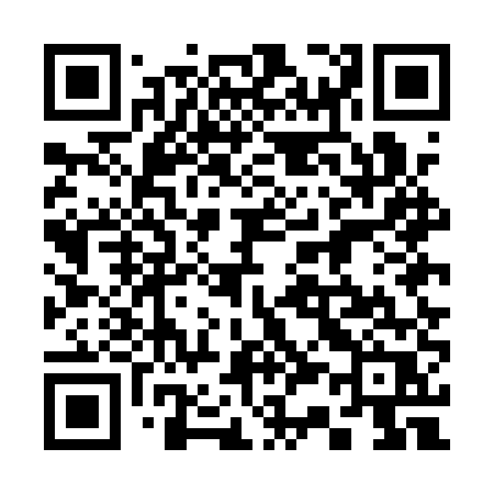 QR code for 335AUR