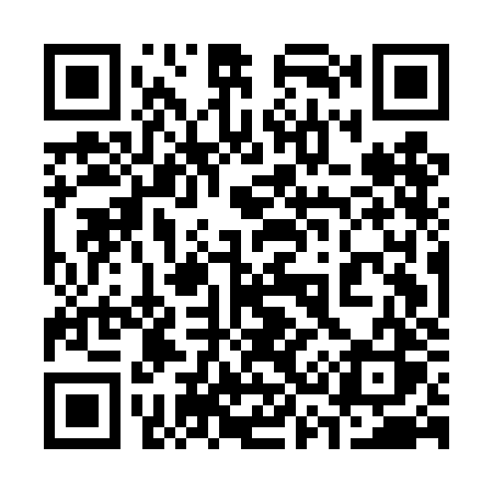 QR code for 335DJS