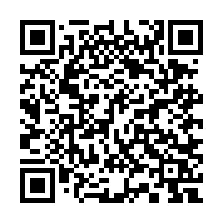 QR code for 335DLR