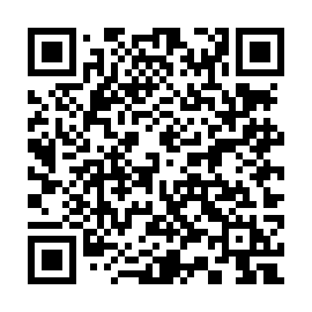QR code for 335LKH
