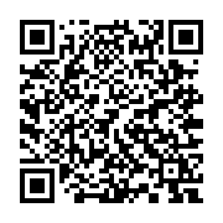 QR code for 335POY