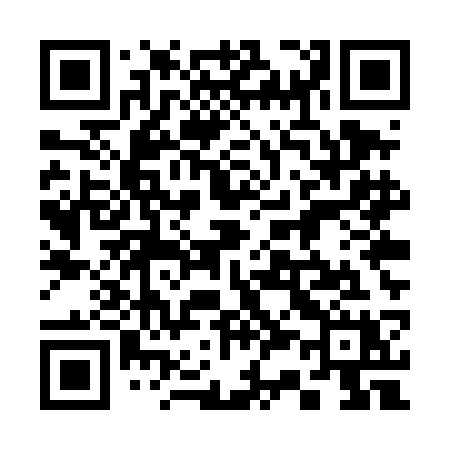 QR code for 335TCX