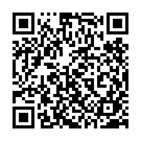 QR code for 335TIL