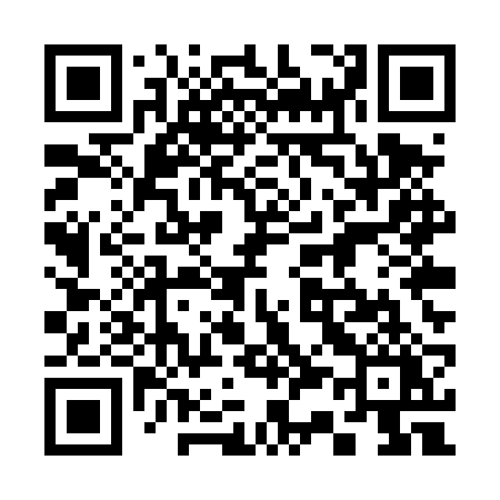 QR code for 335TRY