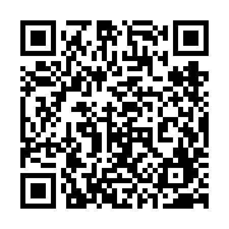 QR code for 335VIF