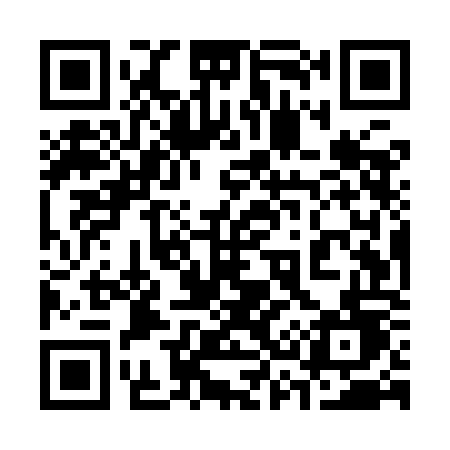 QR code for 335YOD