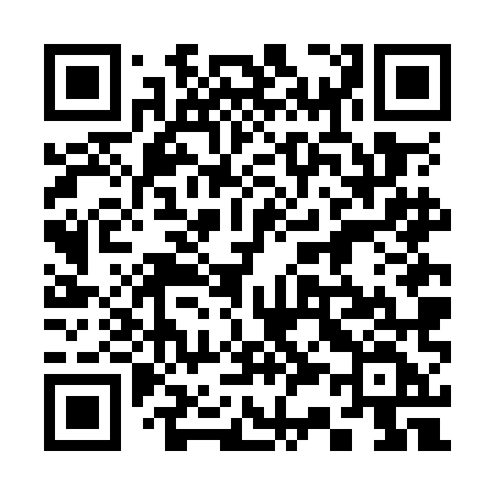 QR code for 336OMF