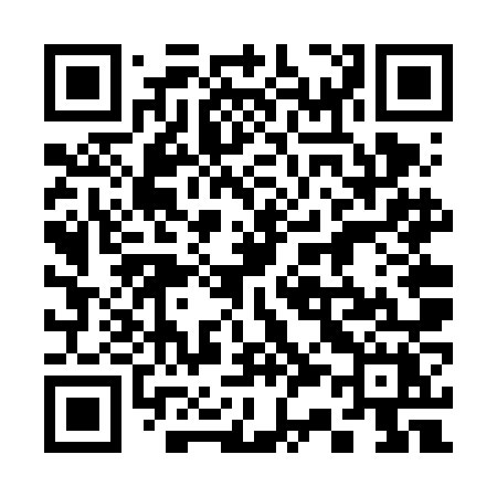 QR code for 336VNX