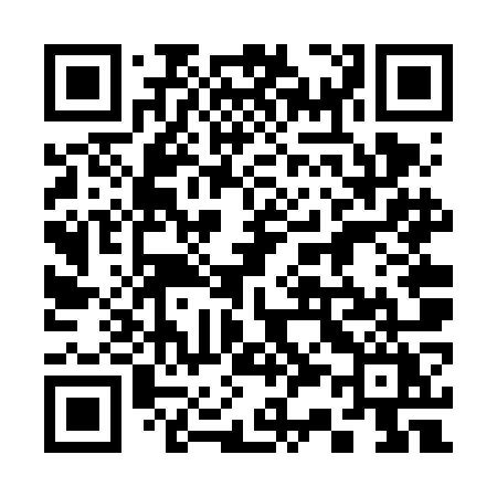 QR code for 336VOY