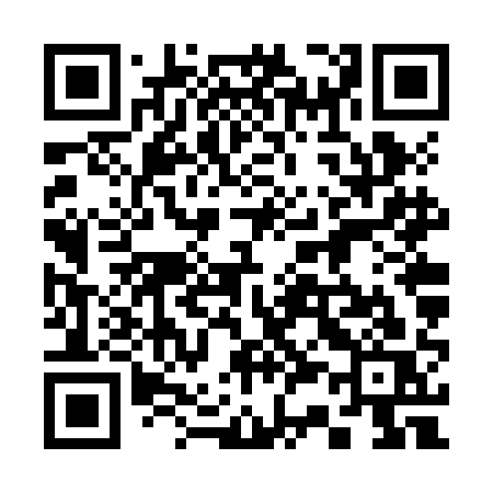 QR code for 336ZAS