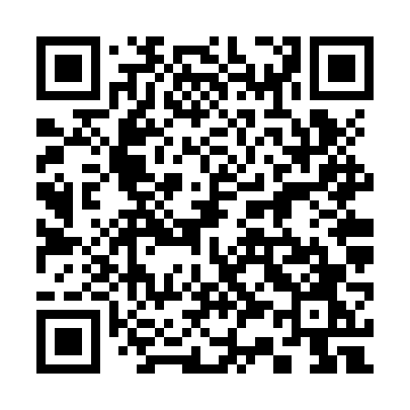 QR code for 336ZVO