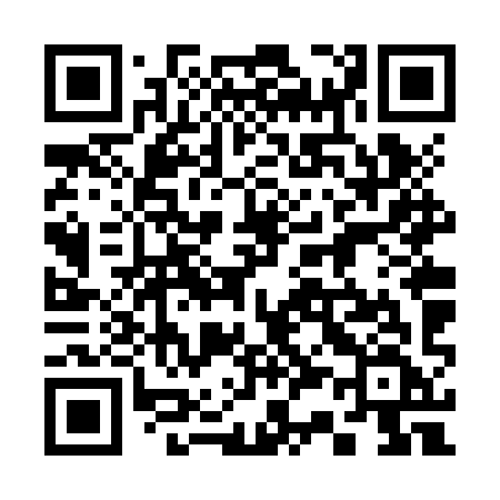QR code for 336ZYF