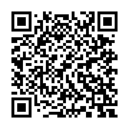 QR code for 338DLM
