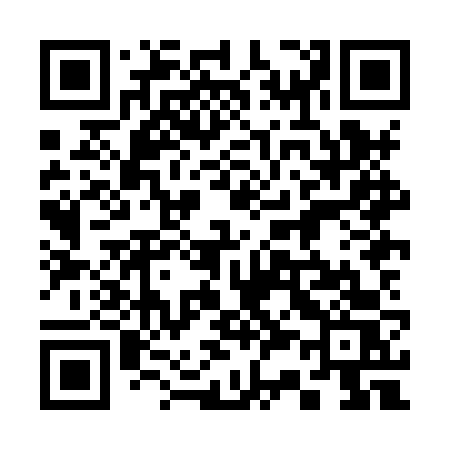 QR code for 338HVS