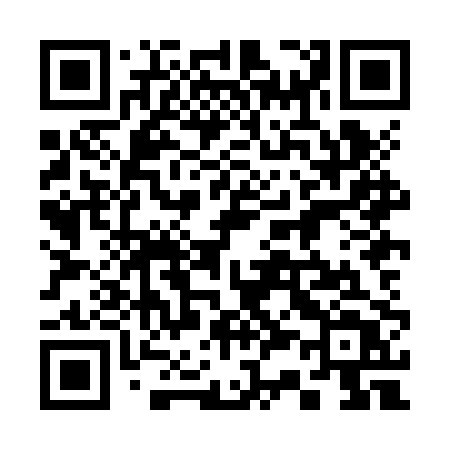 QR code for 338JPT