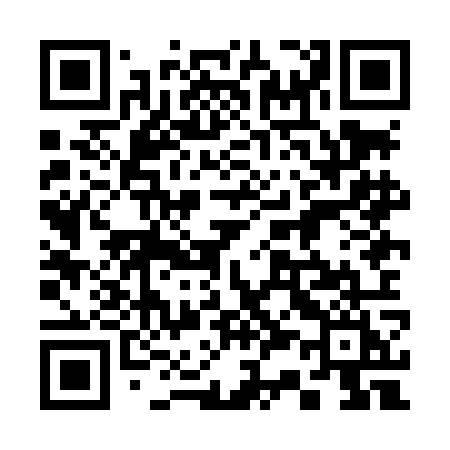QR code for 338LOI