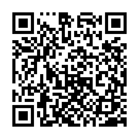 QR code for 338MGS