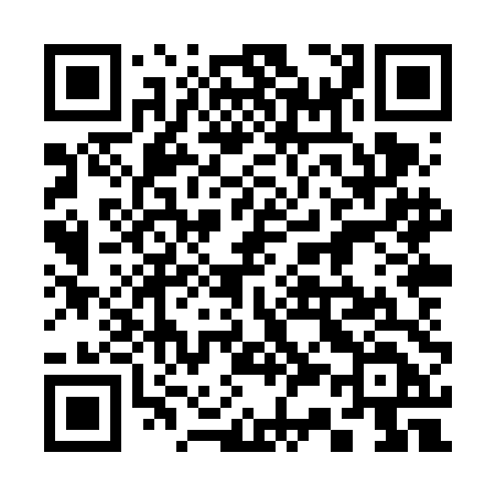 QR code for 338VDD