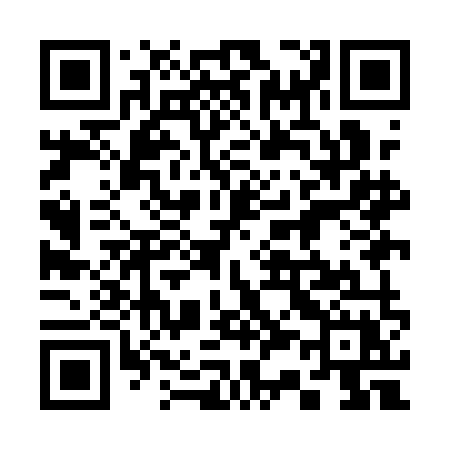 QR code for 339AMX