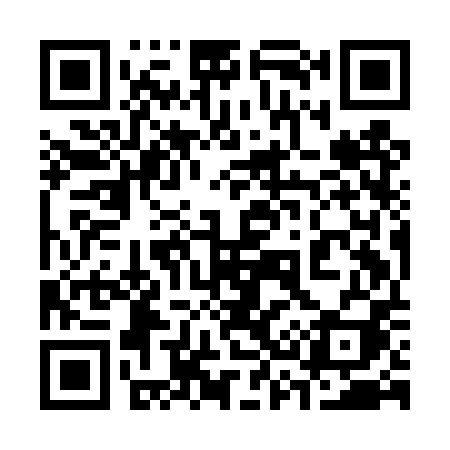 QR code for 339DPI