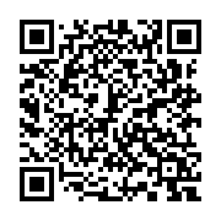 QR code for 339INT